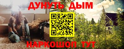 индика Кулебаки