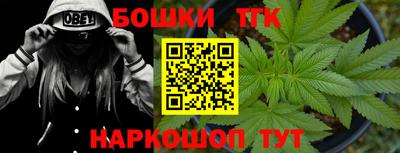 индика Кулебаки