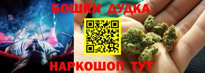 индика Кулебаки