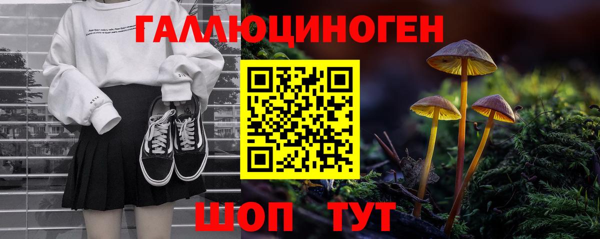 Галлюциногенные грибы Cubensis  купить наркотики сайты  Псилоцибиновые грибы Psilocybine cubensis  Кудрово  Вход с VPN 